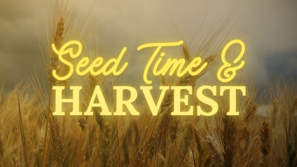Seed Time and Harvest Part 2